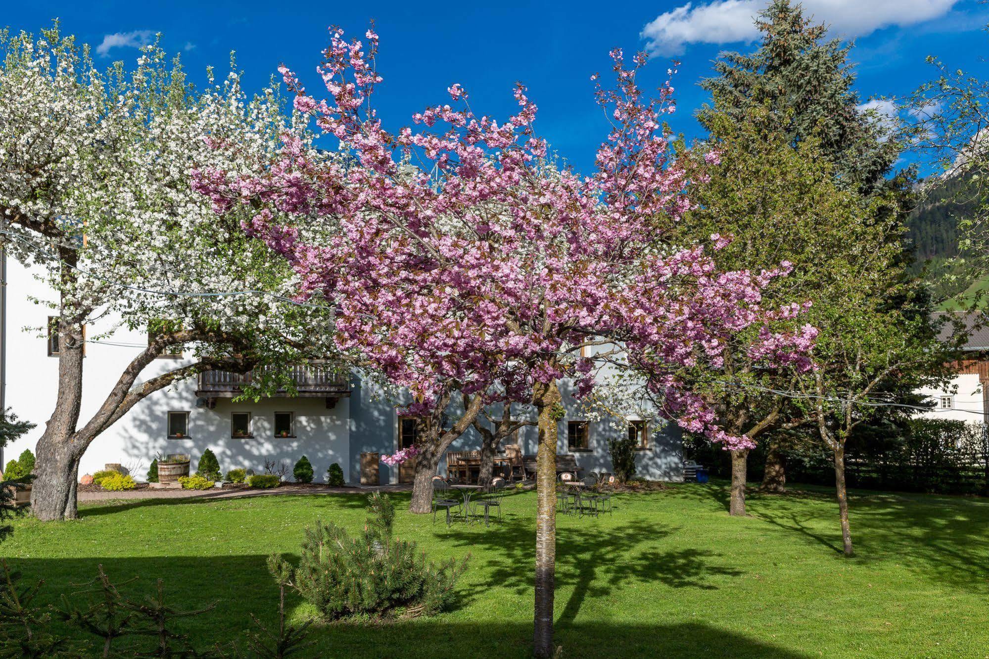 Abfaltersbach Residence Mitterdorfer מראה חיצוני תמונה